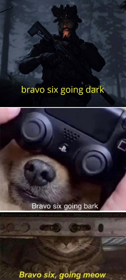 Bravo Six Going Dark - Bark - Meow.png