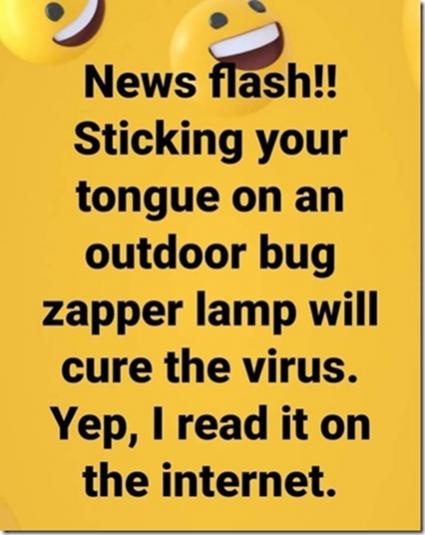 bug.jpg