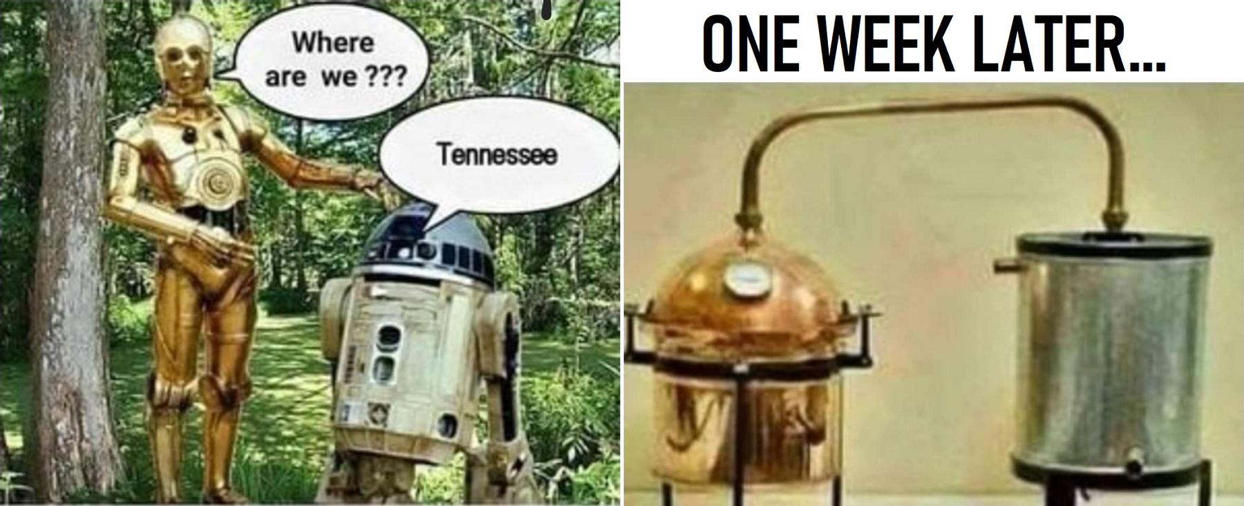 C-3PO + R2D2 in Tennessee.png