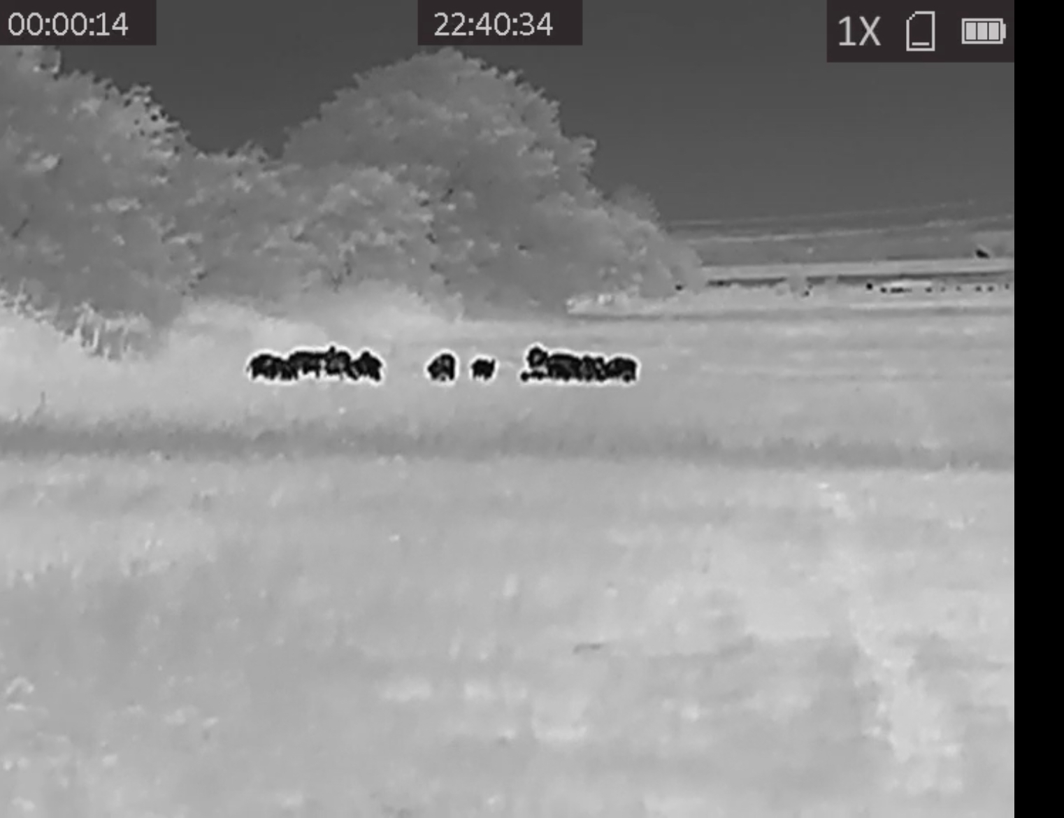 C667571A-910E-4D0E-96E4-7F9631420981.jpeg