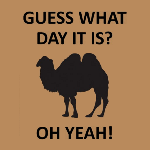Camel - Hump Day 525px.png