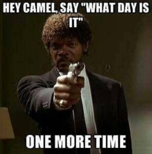 Camel hump day SLJ.jpg