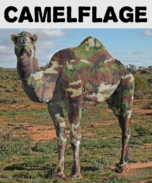 Camelflage.png