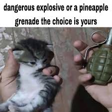 cat grenade.jpeg