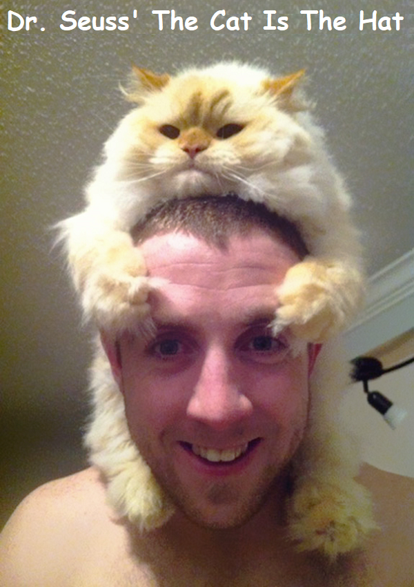 Cat Hat.png