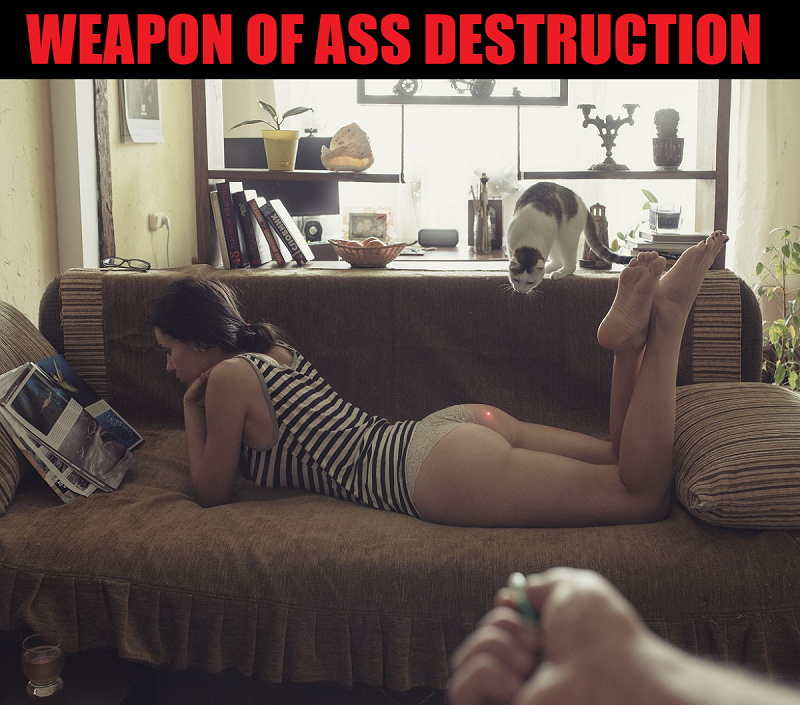 Cat Laser - WEAPON OF ASS DESTRUCTION LMAO - Med.png