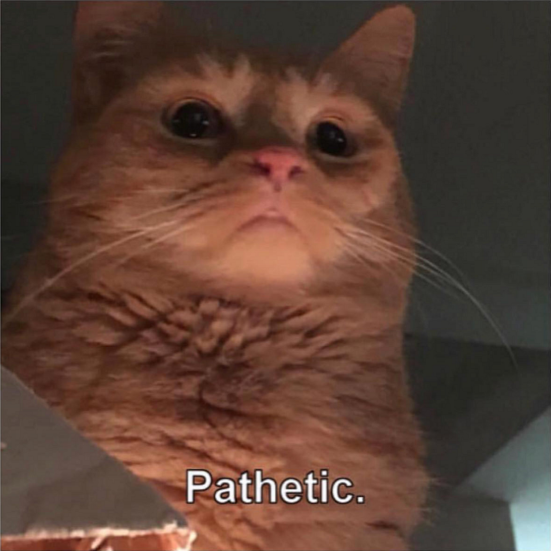 Cat Overlord Disapproves - Pathetic..png