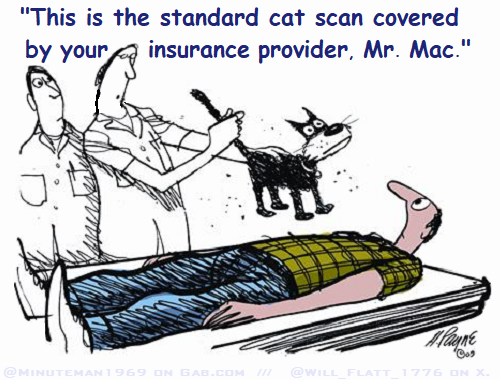 Cat Scan.png