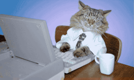 Cat Using Computer Keyboard.gif