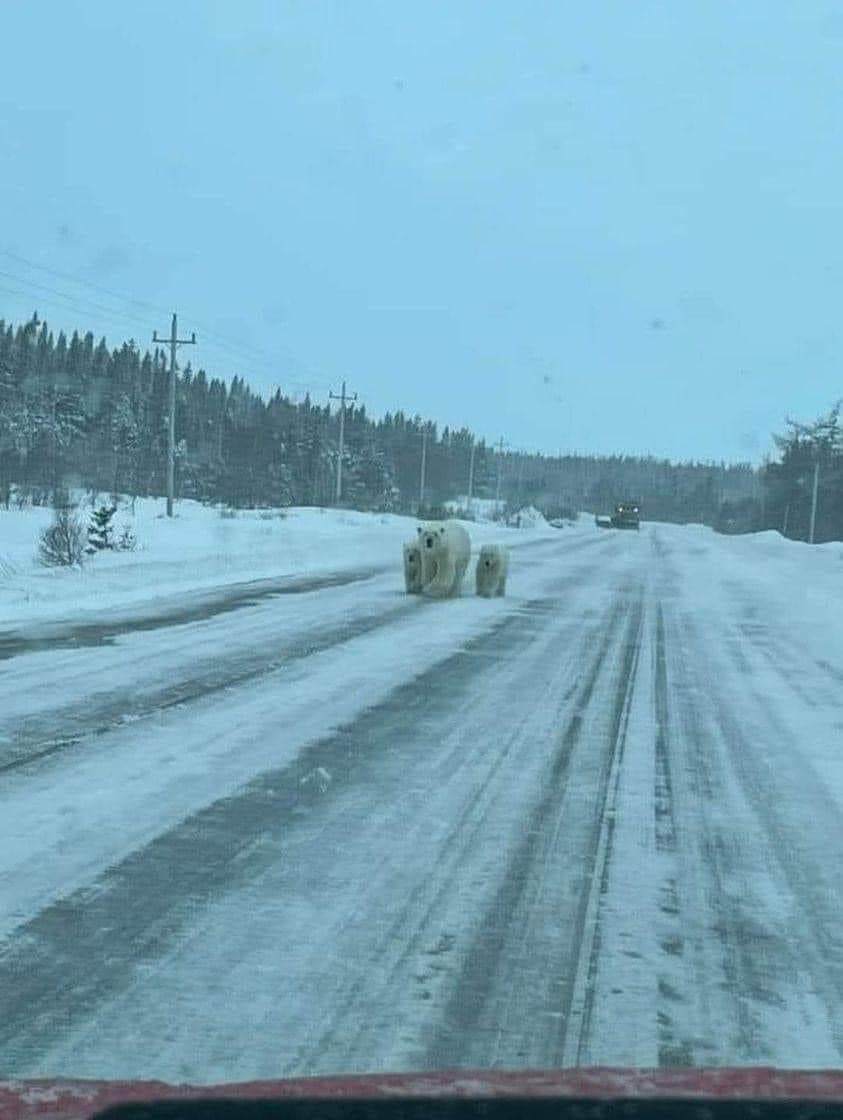 CDN123.jpeg