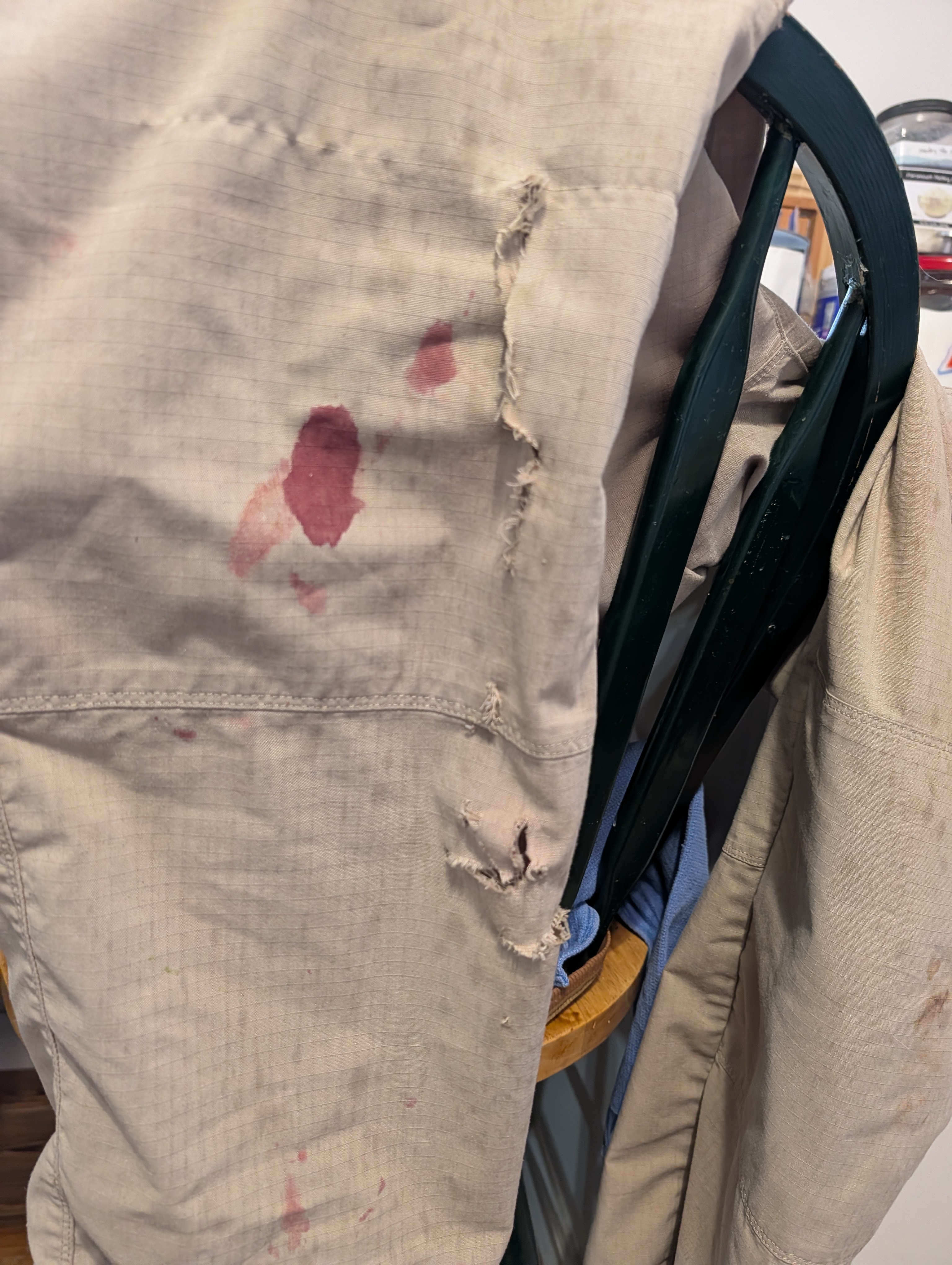 Chainsaw pants - 19 Oct 2026.jpg