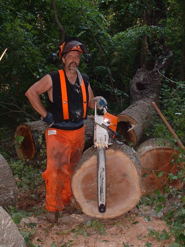chainsaws 056.jpg
