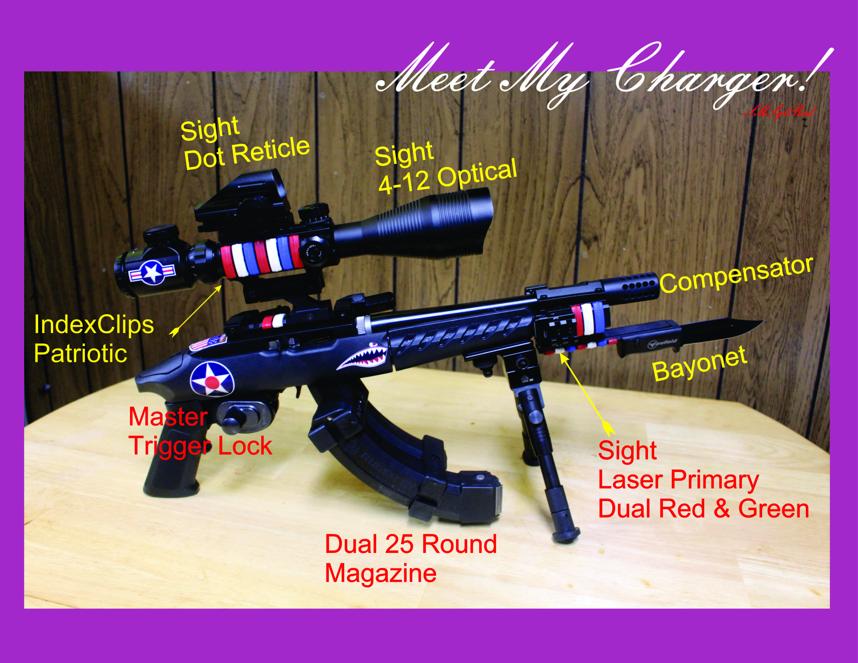 Charger 5.jpg