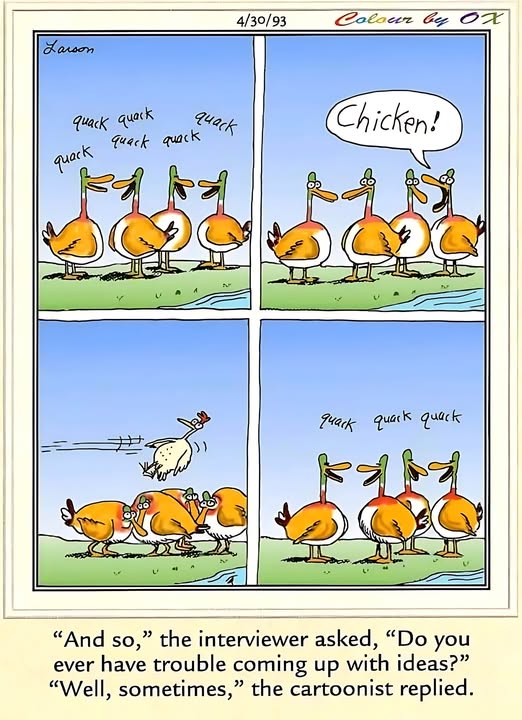 chicken duck.jpg