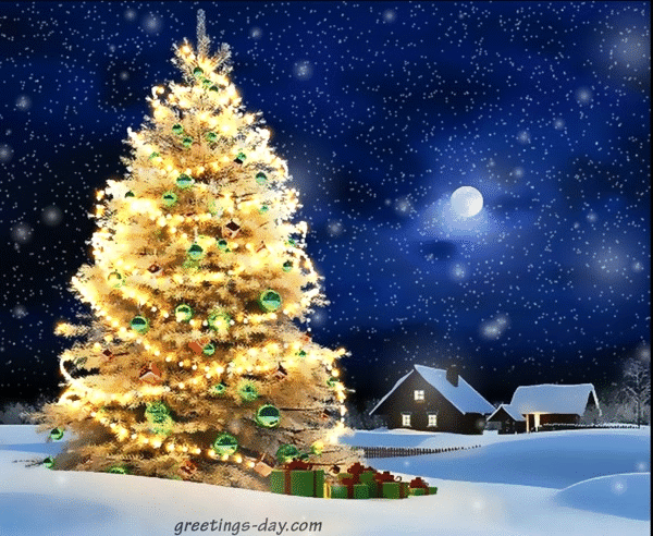 Christmas-night_xmas-tree-2117675901.gif
