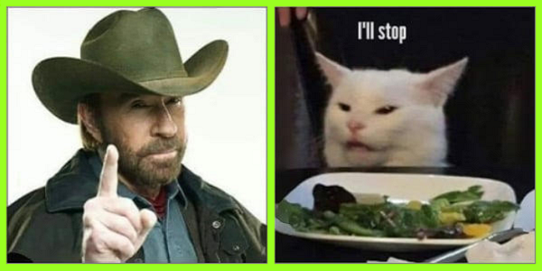 Chuck Norris STOP.png