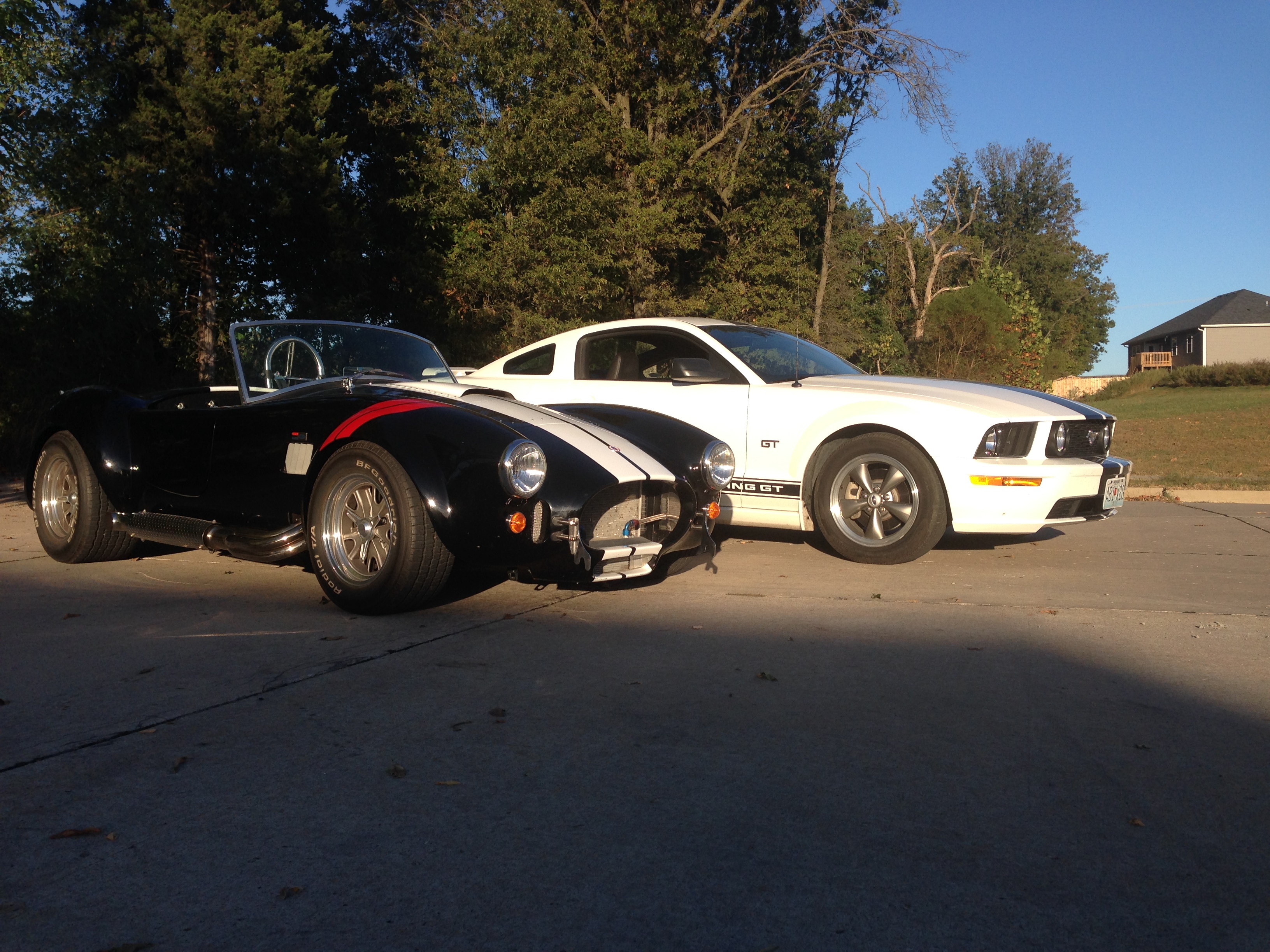 Cobra and Mustang1.JPG