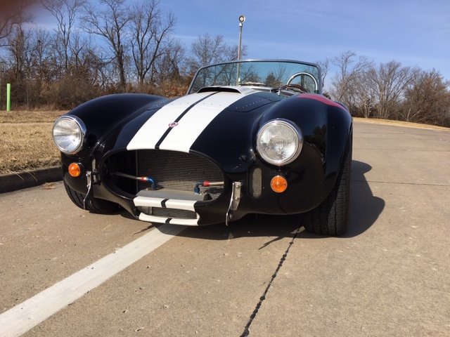 Cobra front 3.JPG