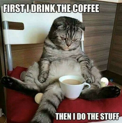 Coffee Cat 01 - Do Stuff.png