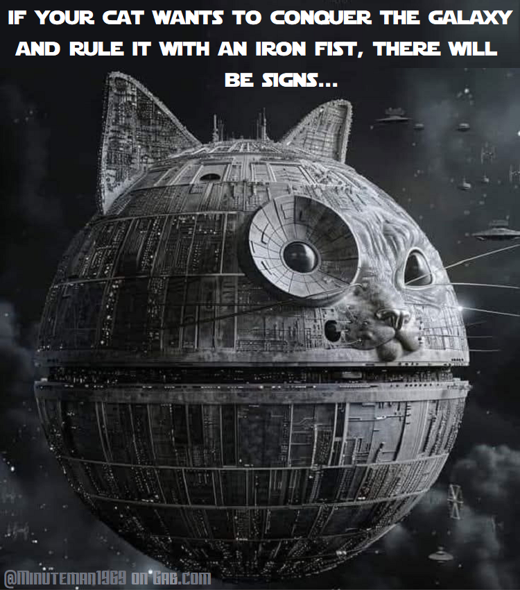 Conquer the Galaxy Signs Meow Star.png