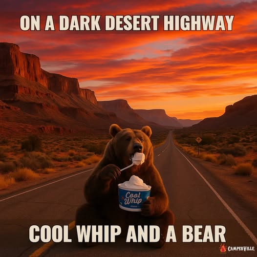 cool whip and a bear.jpg