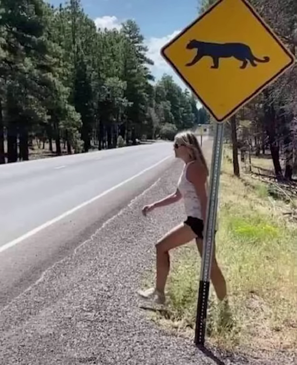 Cougar Crossing.png