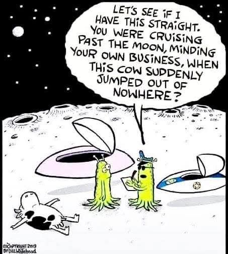 cow hit over moon.jpg