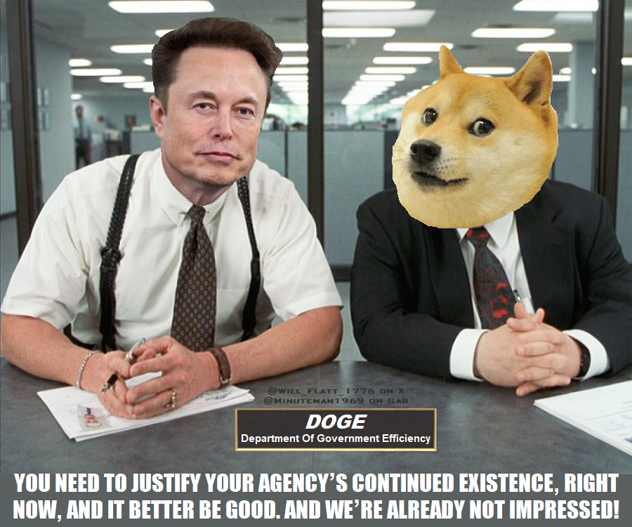 D.O.G.E. Review.png