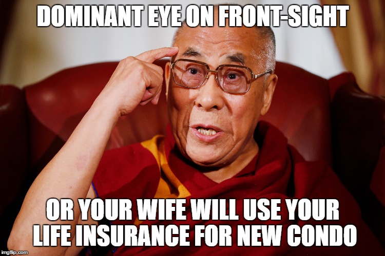 Dalai Lama Gun Wisdom 3.jpg