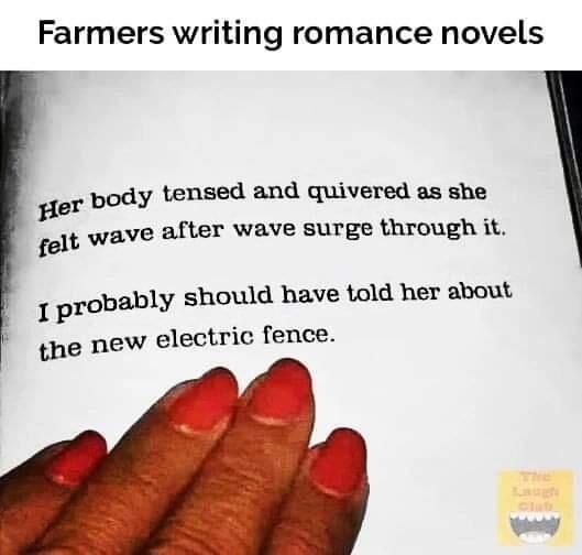 damn the electric fence.jpg