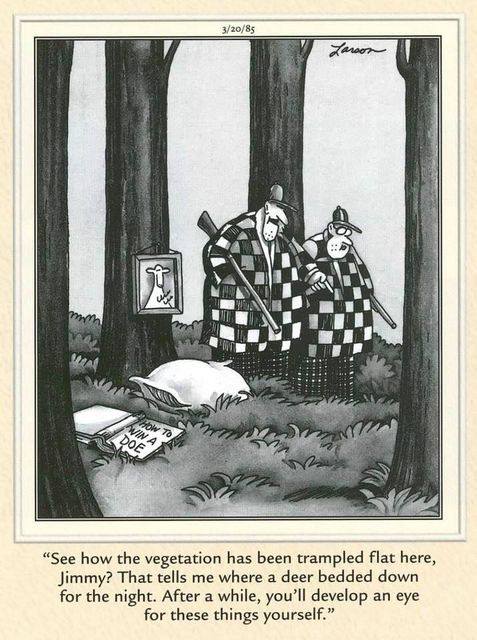 Deer bed.jpg