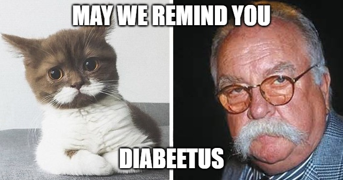 DIABEETUS Cat Wilford Brimley.png