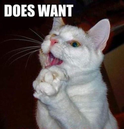 DOES WANT.jpg