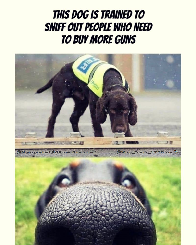 Dog Sniffs Out People Who Need More Guns.png