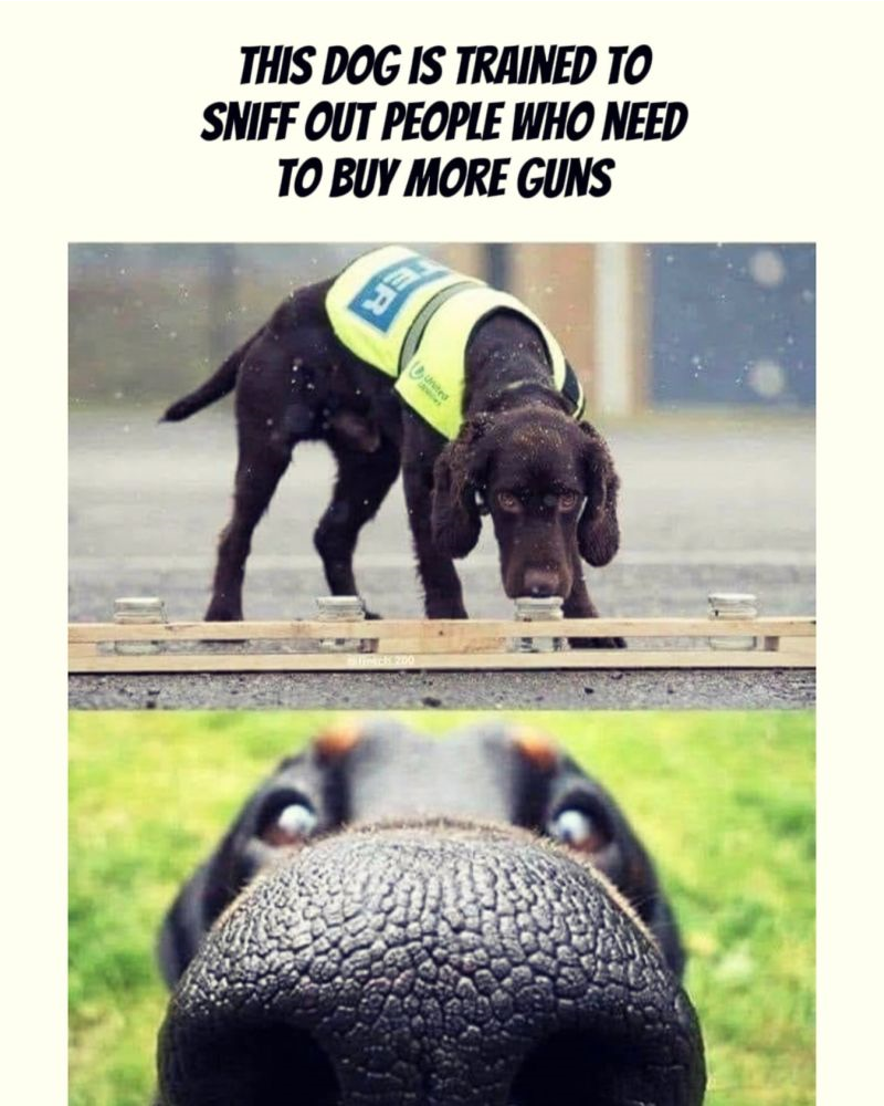 Dog Sniffs Out People Who Need More Guns.png