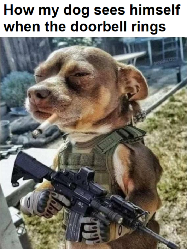 Dog When Doorbell Rings.png