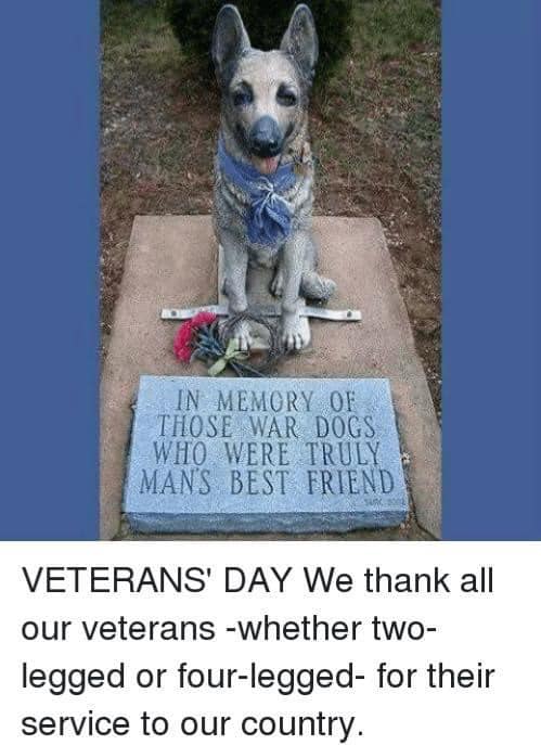 Dogs.jpg