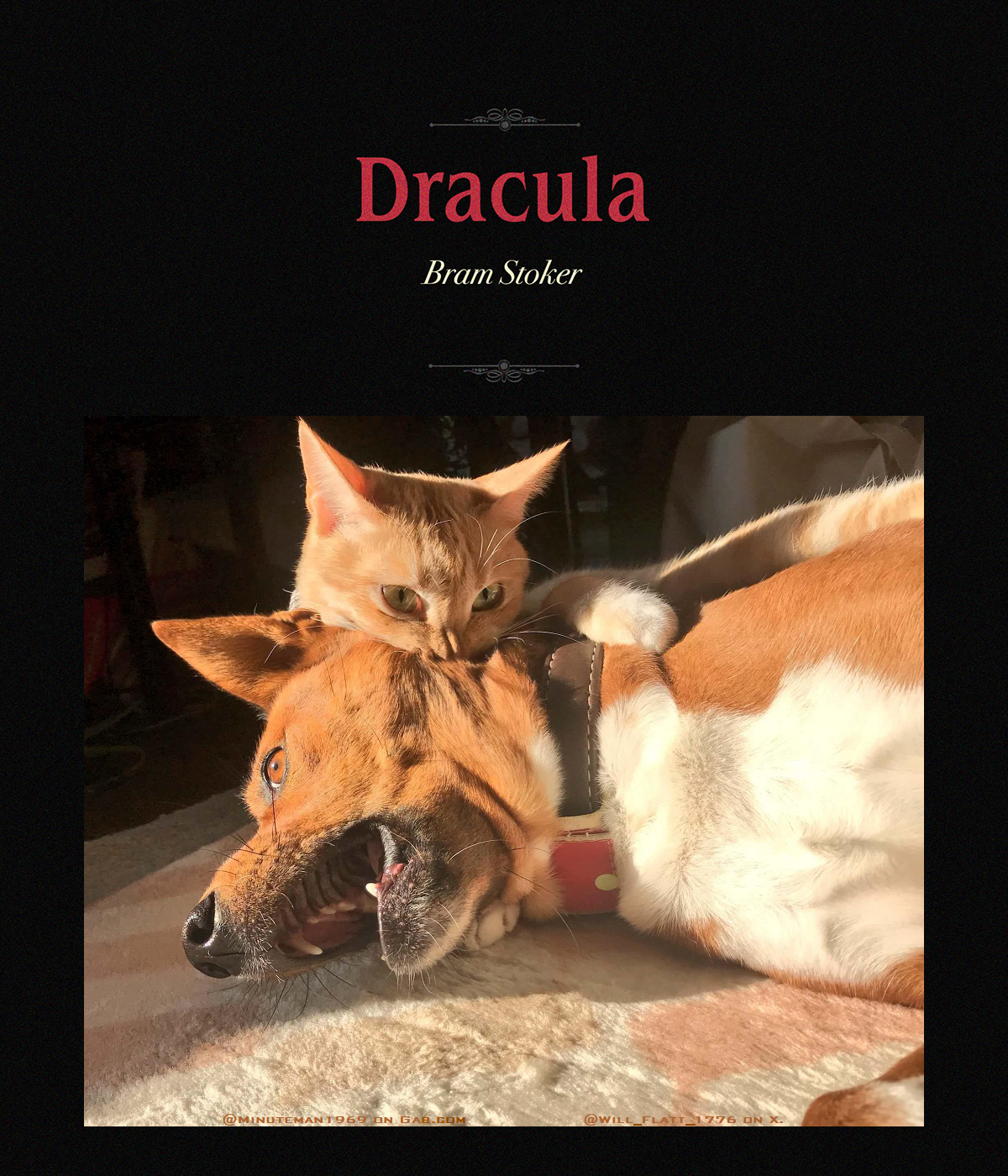 Dracula Cat Book Cover Halloween Scare-Fest.png