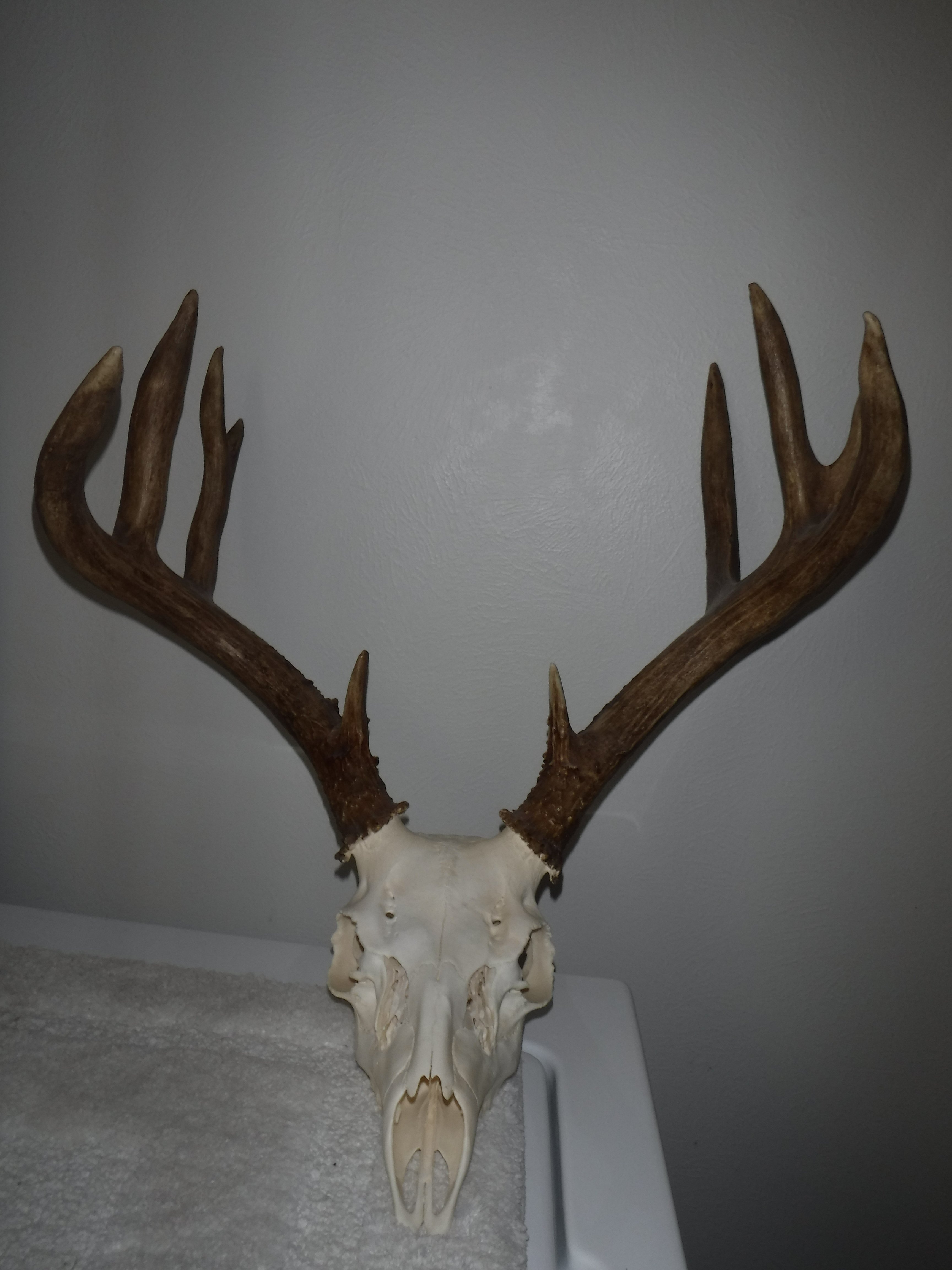 DSCF4319.JPG