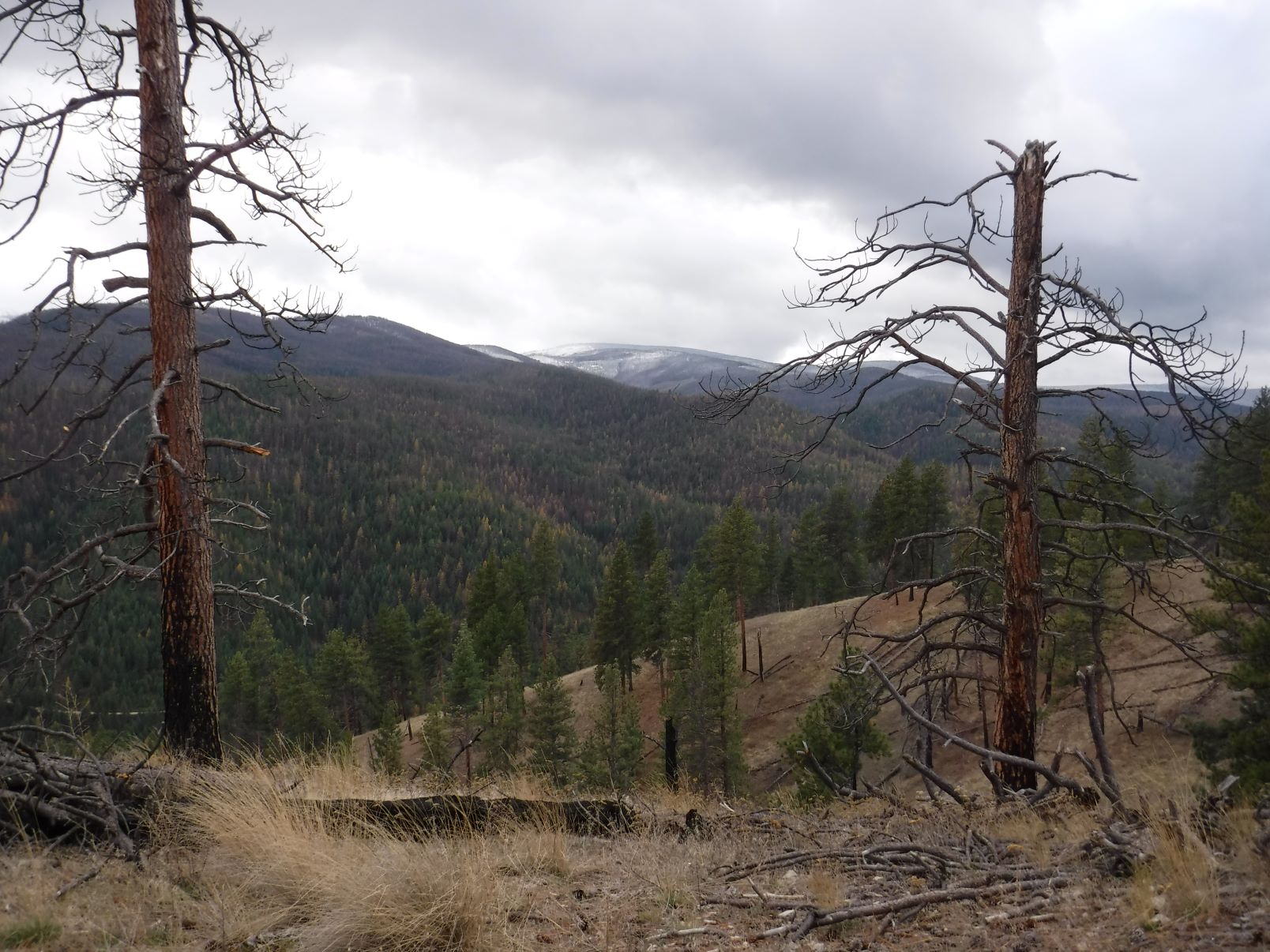 DSCF5215s.jpg