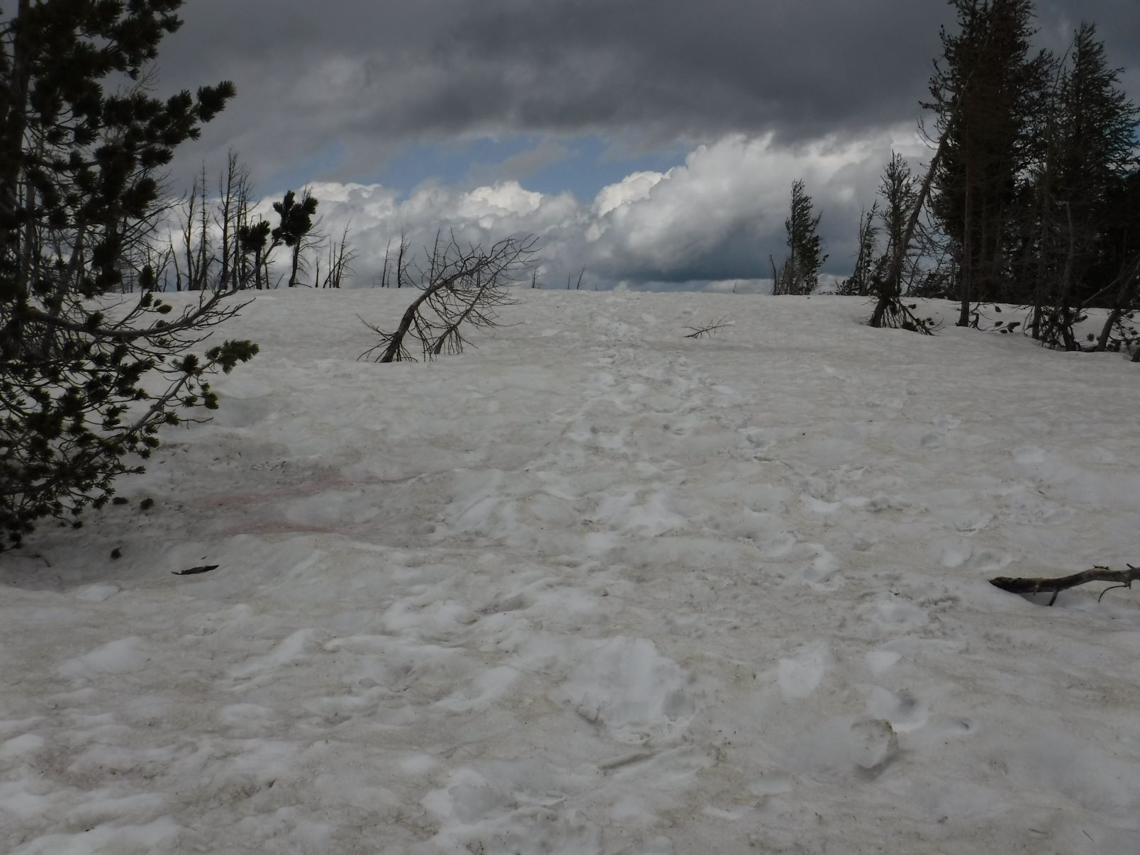 DSCF5882.JPG