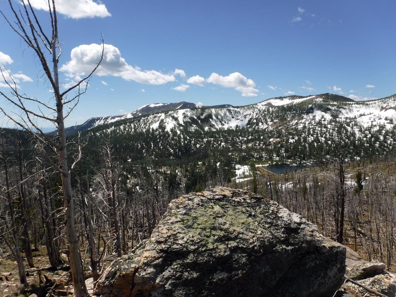 DSCF6231.JPG