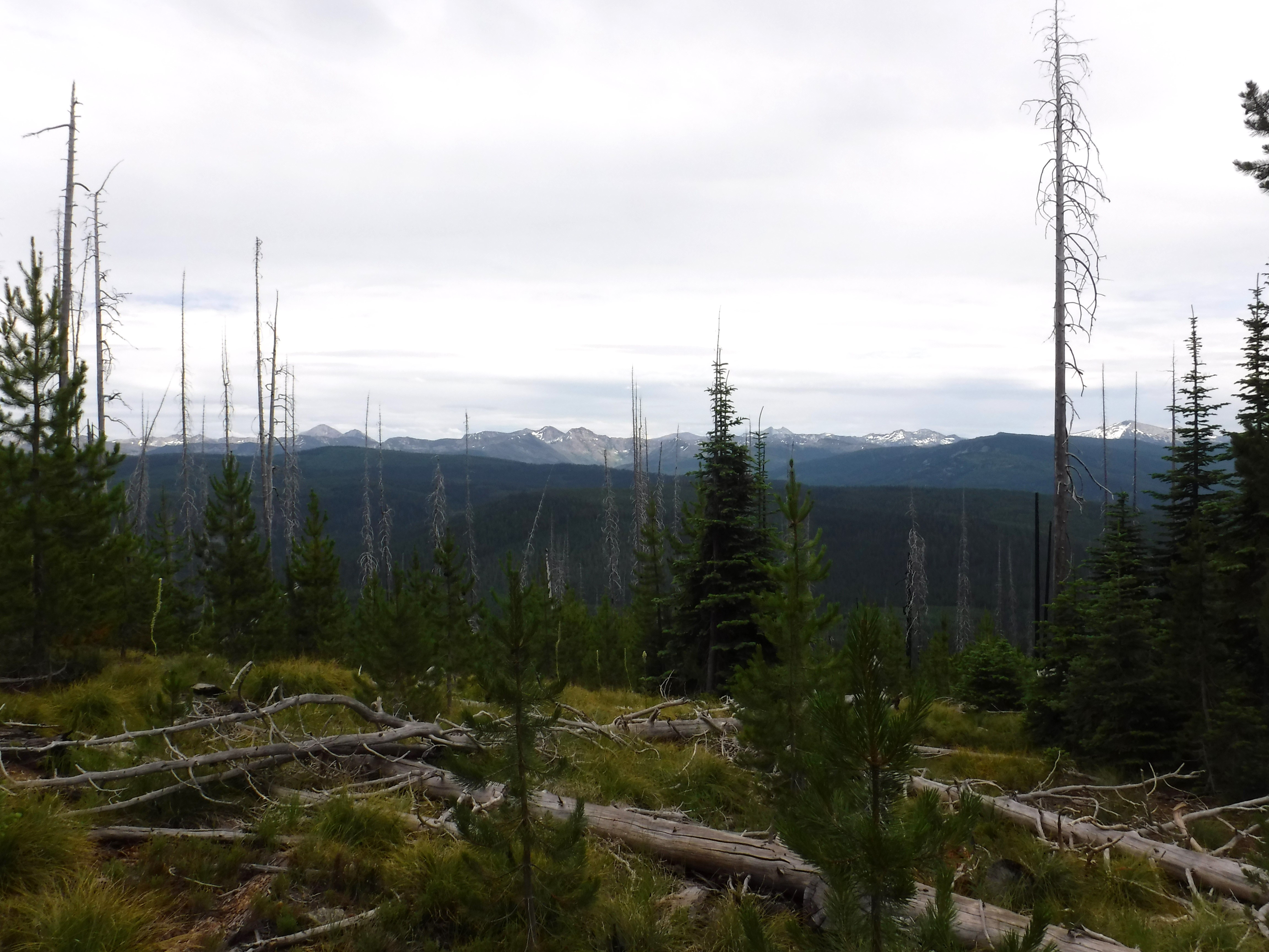 DSCF6240.JPG