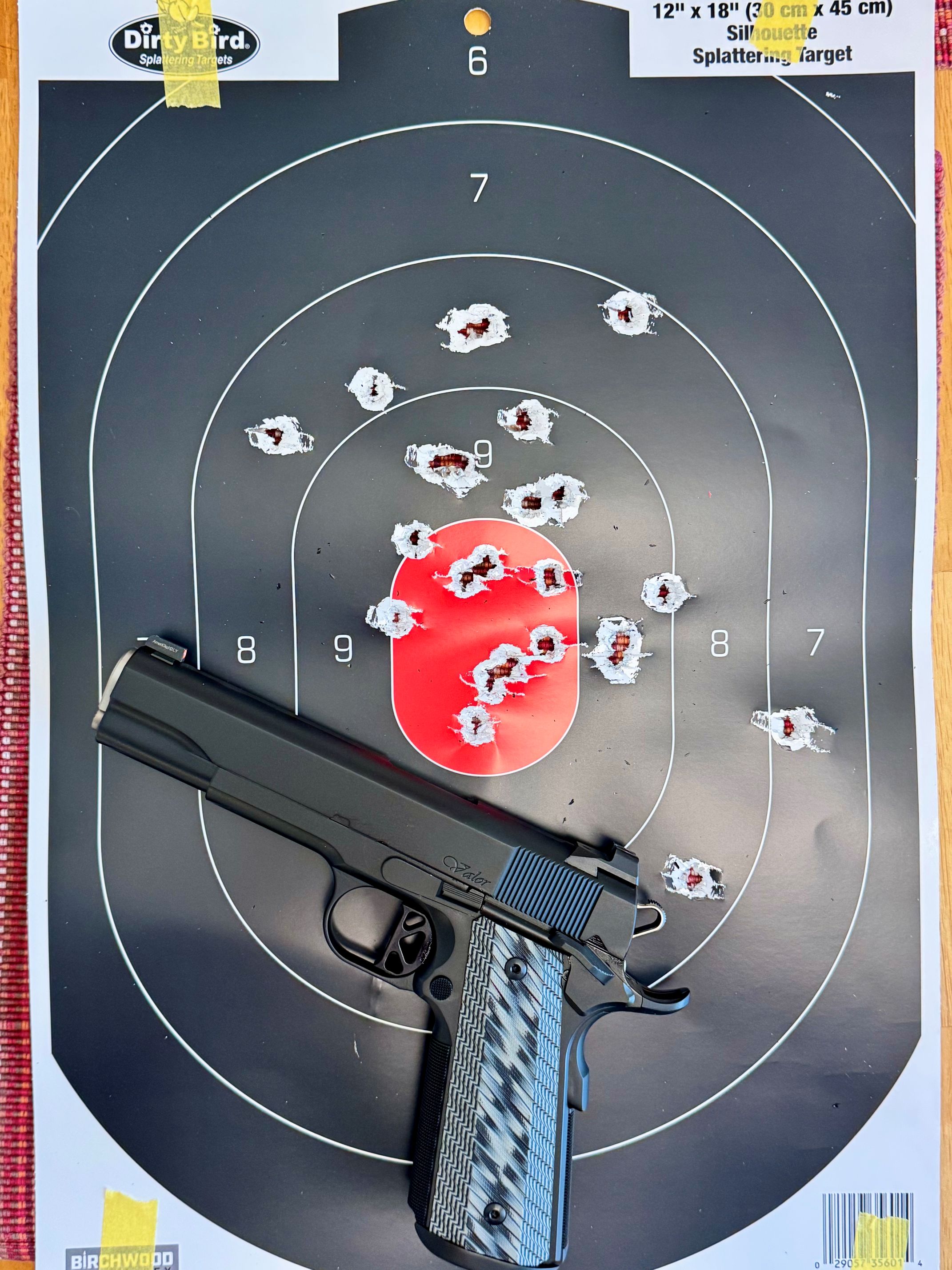 DW1911.jpg