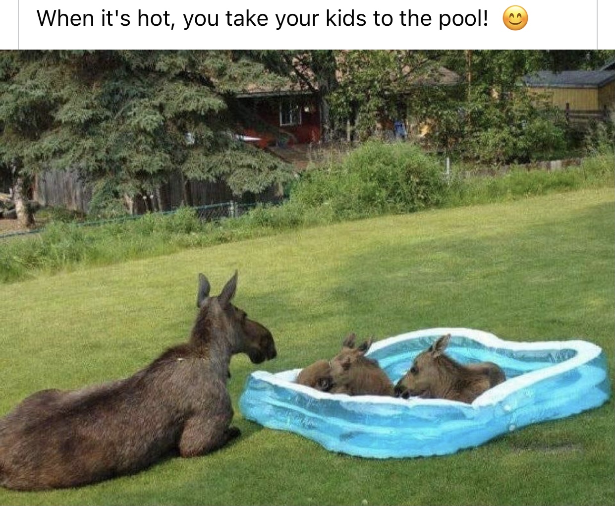 E2F2D871-0C55-4E5A-99E9-E4921429F7CA.jpeg