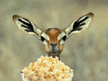 e58a5251e62878171ac29619b69fcd87.gif