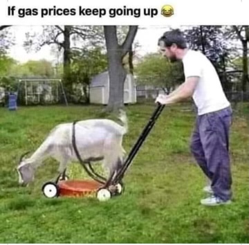EA4702CD-6934-494C-9CF4-E5412E77751C.jpeg
