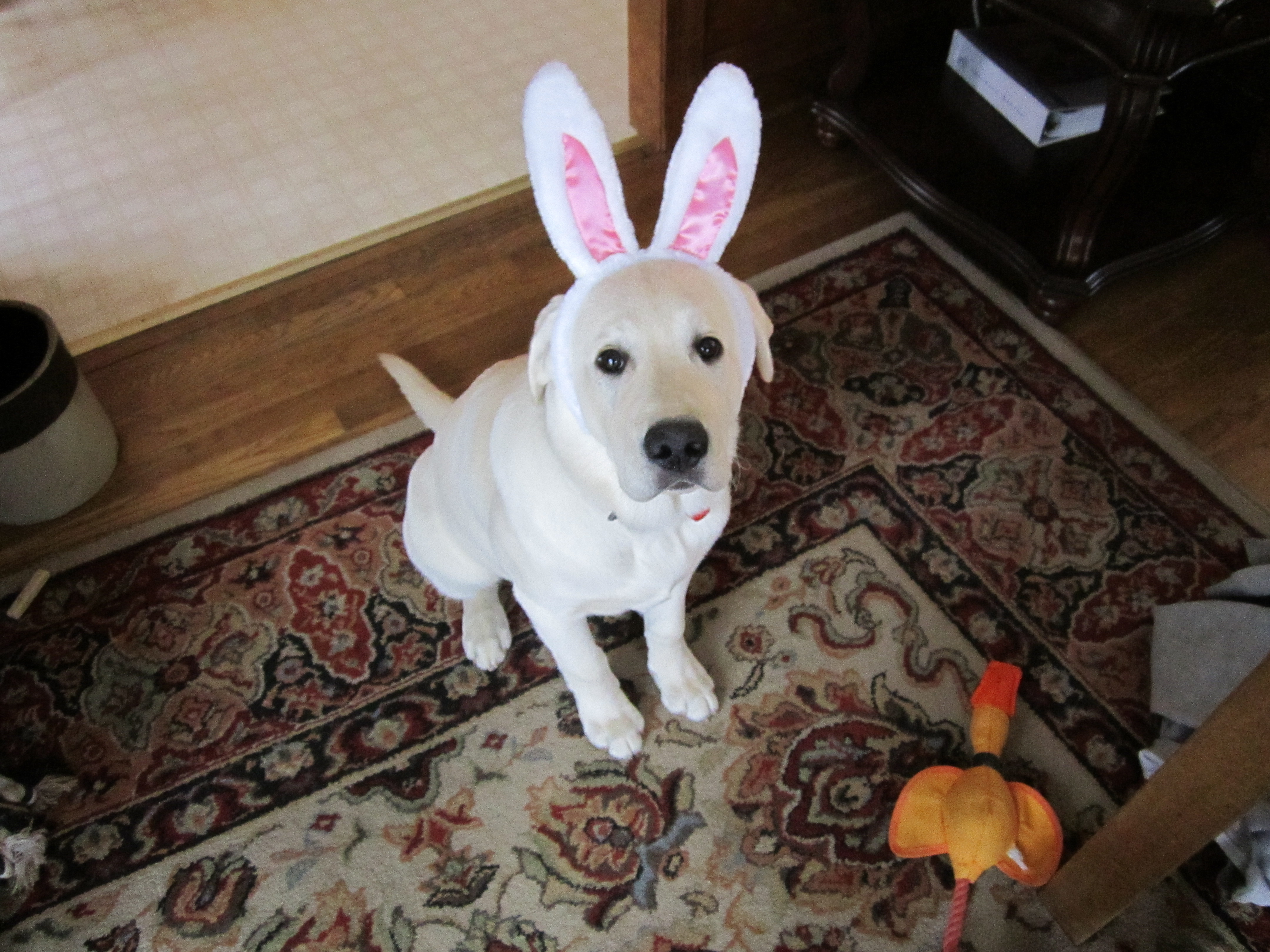 Easter Axel.JPG