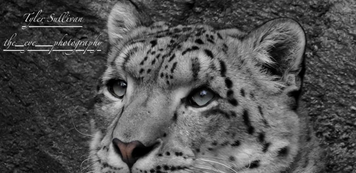 EC371565-E258-4CDC-92CE-D28A85225D92.jpeg
