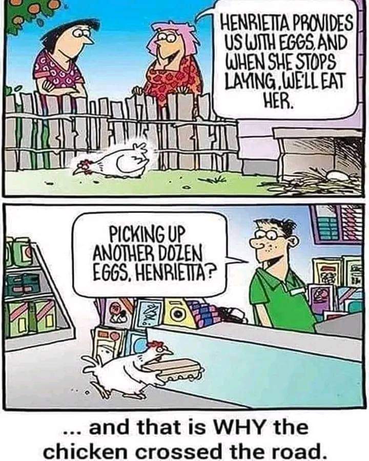 eggs.jpg